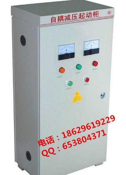 高压液阻起动柜10KV/300KW图片