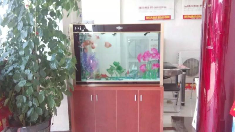 供应水族箱哪里买