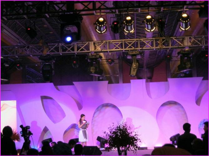 江西燈光租賃圖片