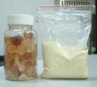 沙蒿子膠圖片