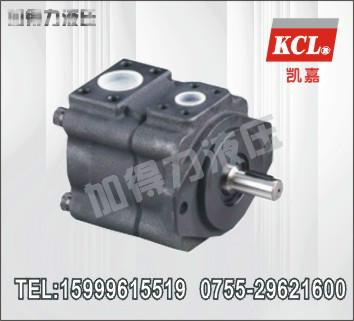 DVQ45-200FRAA葉片油泵圖片