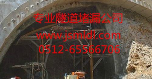 供應昆山伸縮縫堵漏公司*