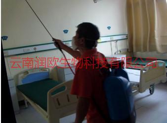 西山區(qū)西餐廳滅蟑螂圖片