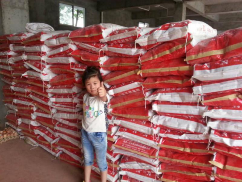 供應(yīng)10%哺乳母豬濃縮料益母王 豬飼料