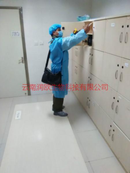 官渡區(qū)門診滅蟑螂圖片