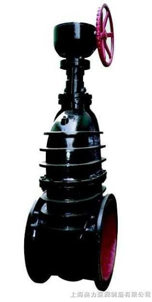 雙高閘閥圖片/雙高閘閥樣板圖 (4)