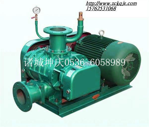 羅茨鼓風(fēng)機(jī)廠家哪里好坤慶風(fēng)機(jī)圖片