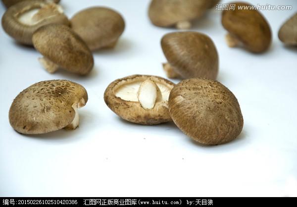 供应北京野生鸡枞菌多少钱一斤茶树菇姬松茸等一斤也批发图片