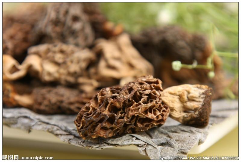 供应河北野生鸡枞菌多少钱一斤 茶树菇 姬松茸等一斤也批发