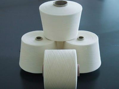 純棉16支圖片/純棉16支樣板圖 (3)