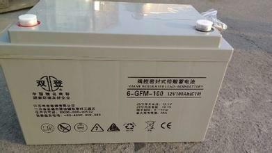 白銀雙登12V100AH蓄電池圖片