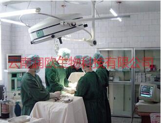 滅蟑螂圖片/滅蟑螂樣板圖 (3)