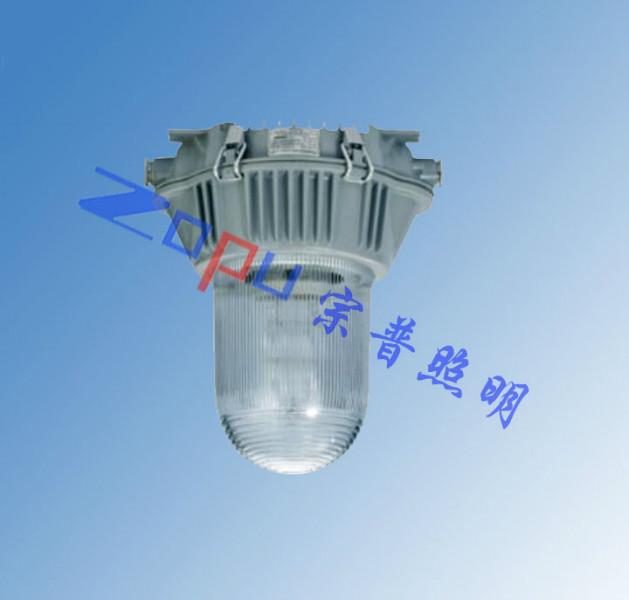 SW7110高頻無極泛光工作燈圖片