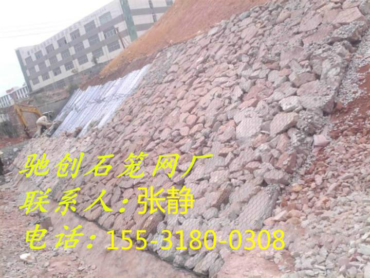 雷諾護墊圖片/雷諾護墊樣板圖 (3)