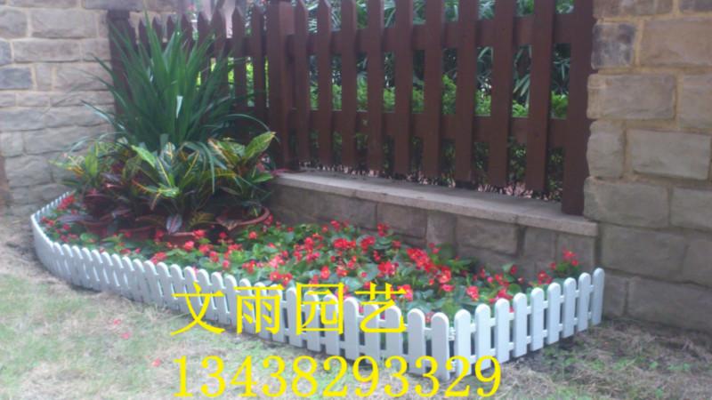 成都錦江區(qū)植物出租 成都植物出租  成都花卉租賃