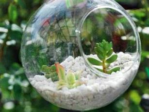 保溫材料珍珠巖圖片/保溫材料珍珠巖樣板圖 (2)