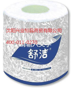供應(yīng)金佰利雙層小卷衛(wèi)生紙0315