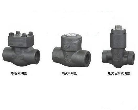 鍛鋼止回閥圖片/鍛鋼止回閥樣板圖 (2)