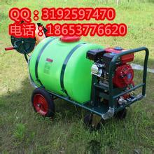 供應輕便噴霧器果樹噴霧器 蔬菜基地*噴霧機  噴霧器價格
