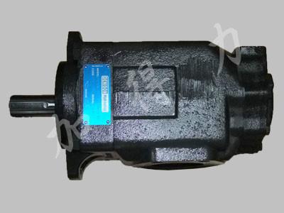 葉片泵圖片/葉片泵樣板圖 (4)