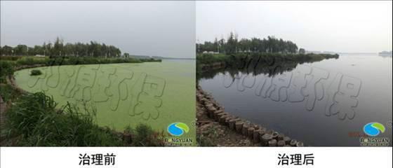 生物修復(fù)技術(shù)水環(huán)境治理的最前沿圖片