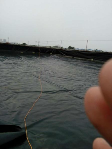 供應0.35/0.5mm*水產(chǎn)養(yǎng)殖膜廠家直銷