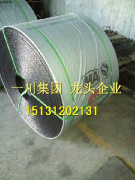 供應(yīng)阻燃輸送帶，一川集團(tuán)，*！