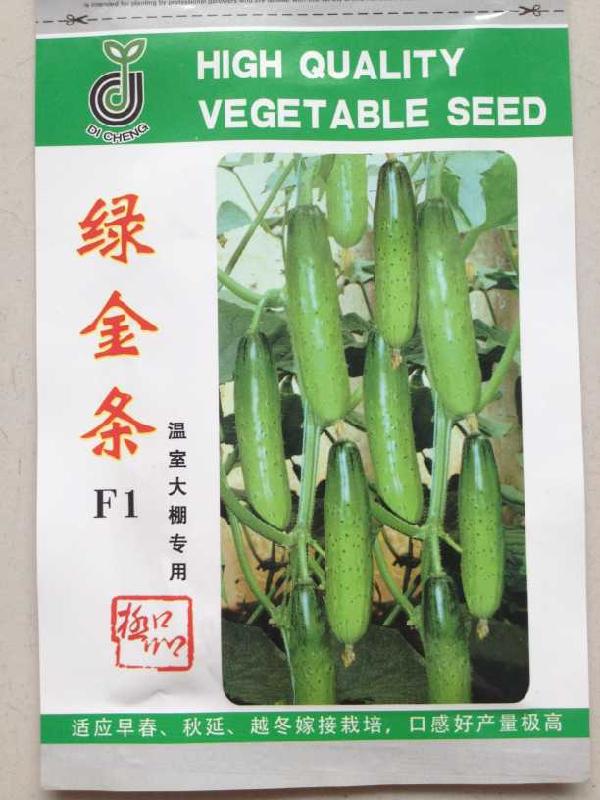 綠興旱黃瓜種苗 綠金條旱黃瓜種子圖片